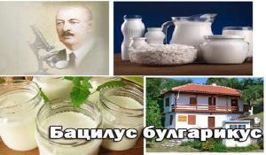 кисело мляко littlebg.com