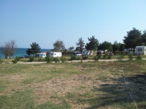 littlebg.com