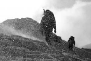 ivayloatanasovphotography