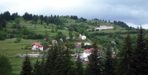 Гела