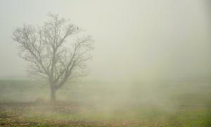 Tabakoff photography