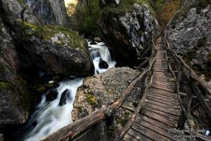 ivanpankev.photography