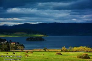 ivanpankev.photography