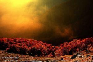 ivanpankev.photography