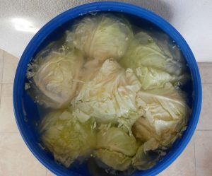 кисело зеле