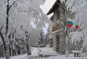 Нова година