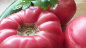 продукти, домат