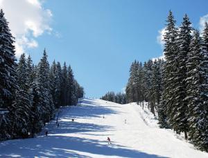 зимни курорти