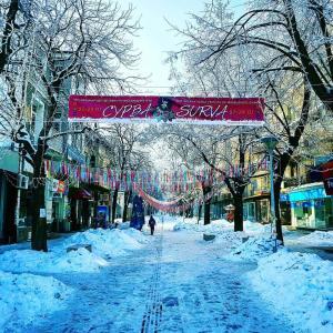 Сурва 2017