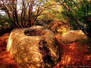 Sixth Sense Photography