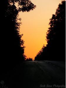 Sixth Sense Photography