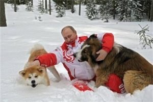 каракачанка