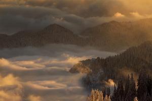 Vladimir Gergov Photography