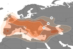 сателит