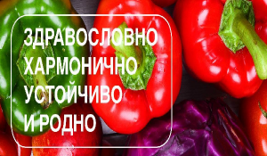 Садово