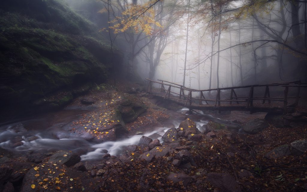G.Dochev Photography