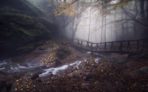 G.Dochev Photography