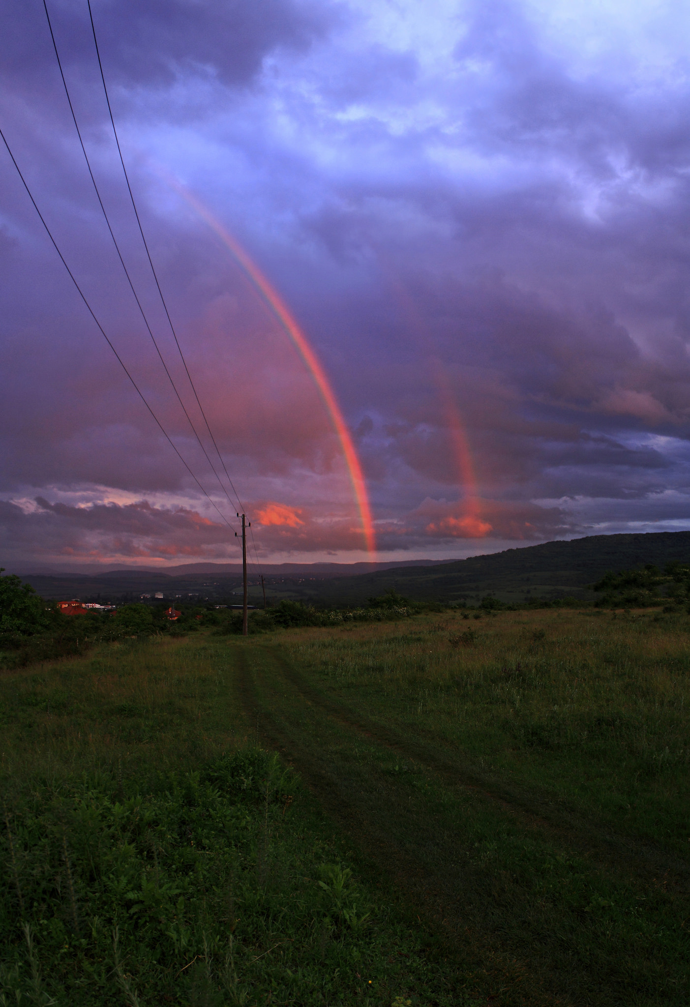 DenissRadikovv