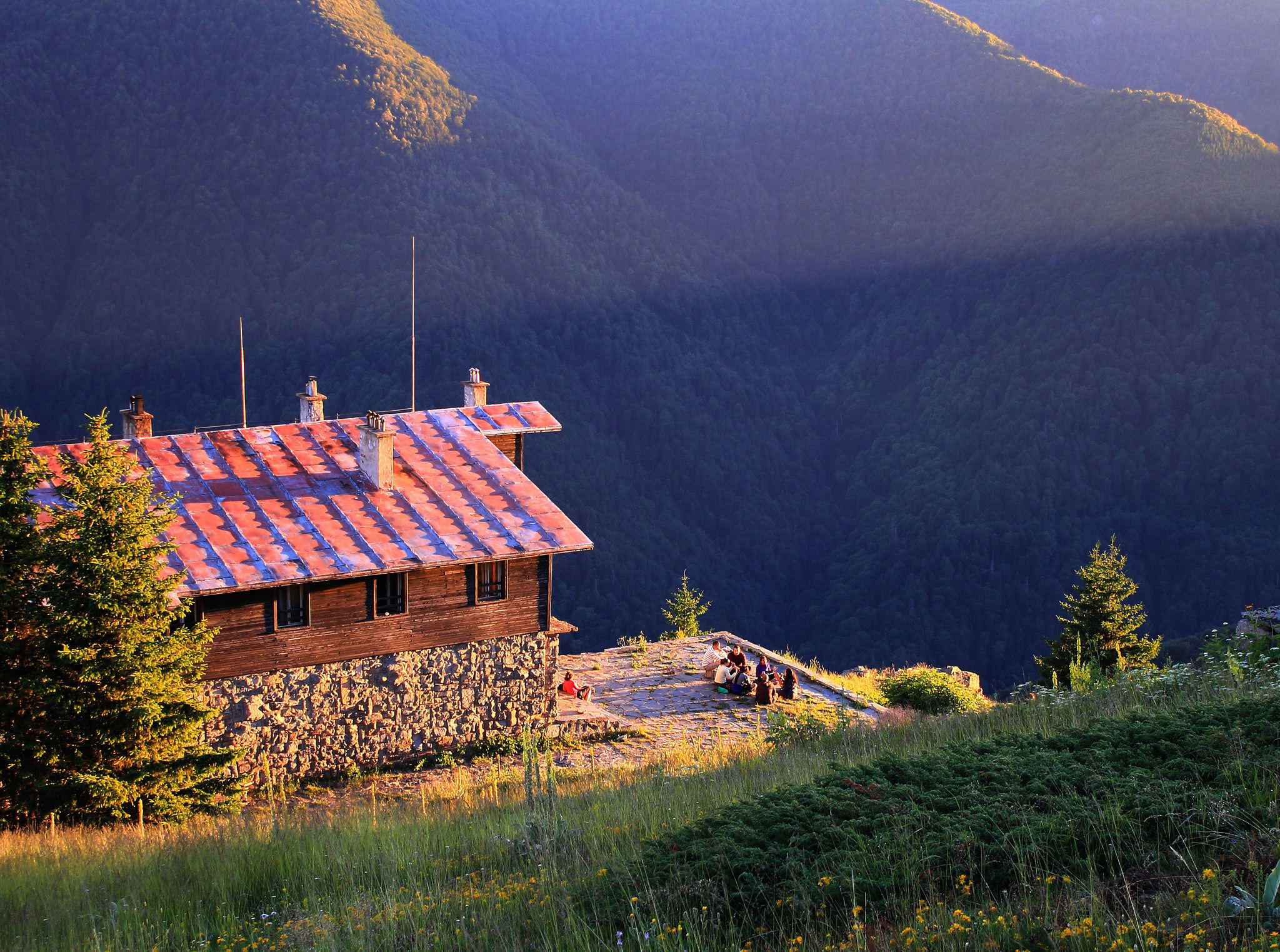 DenissRadikovv