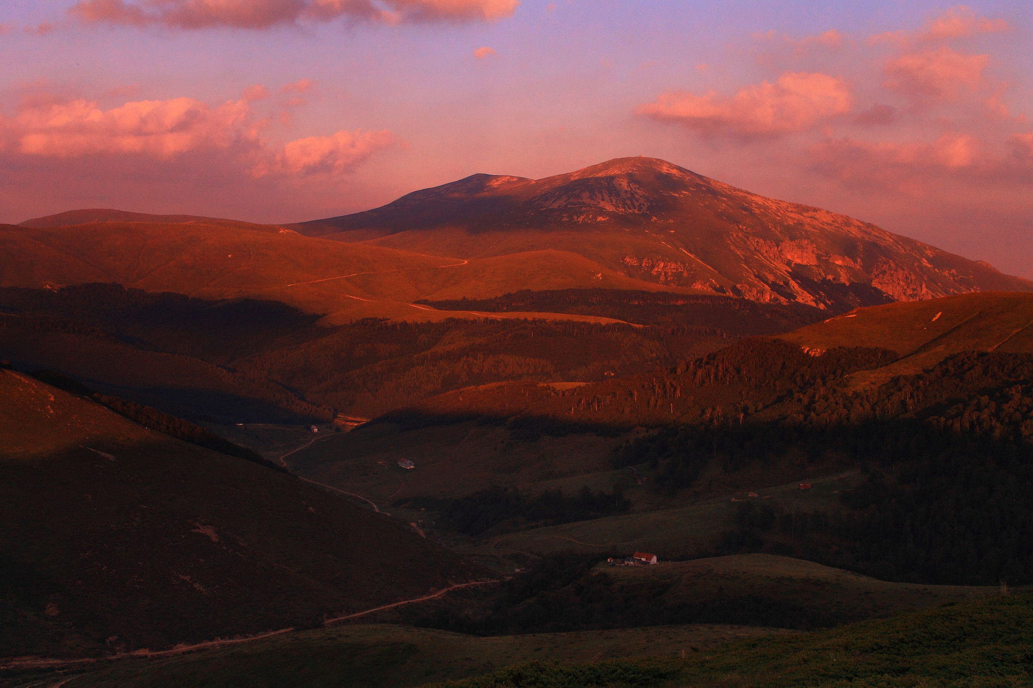 DenissRadikovv